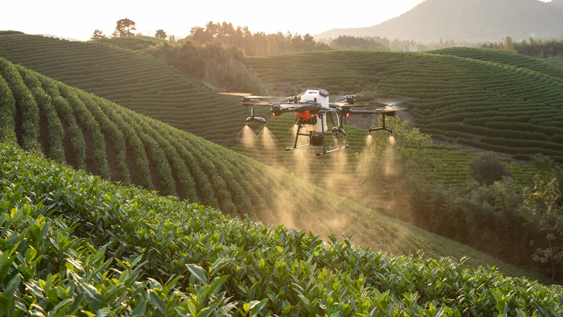 農薬散布ドローンの画像